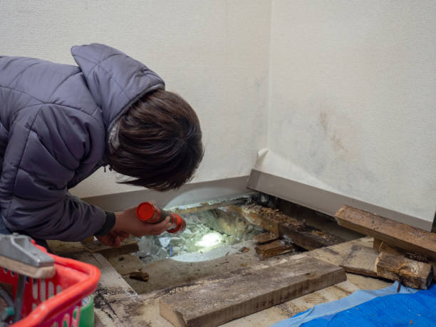 Best Post-Construction Mold Inspection  in Bryn Mawr Skyy, WA