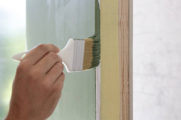 Professional Mold Removal in Bryn Mawr Skyway, WA