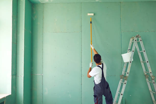 Best Black Mold Removal  in Bryn Mawr Skyy, WA