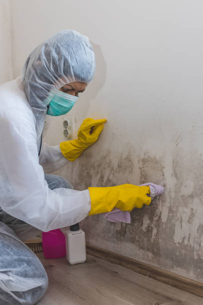 Best Comprehensive Air Testing for Mold Contaminants  in Bryn Mawr Skyy, WA
