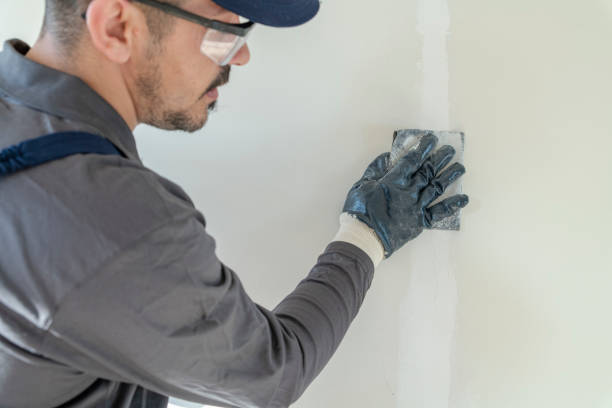 Best Asbestos and Lead Testing During Mold Inspection  in Bryn Mawr Skyy, WA
