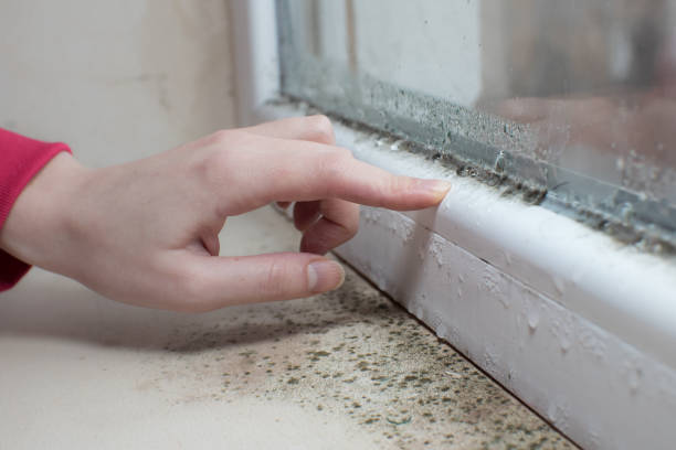 Best Indoor Air Quality Assessment  in Bryn Mawr Skyy, WA